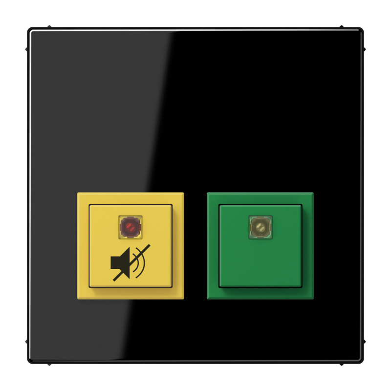 Jung Dienstkamerunit