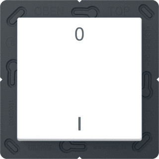 Jung As/A range enocean wandzender a(s)500 + symbolen 2-kanalen wit