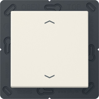 Jung As range enocean wandzender a(s)500 + symbolen 2-kanalen wit