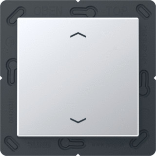 Jung A range enocean wandzender a500 + symbolen 2-kanalen aluminium