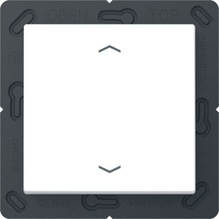 Jung As/A range enocean wandzender + symbolen 2-kanalen wit