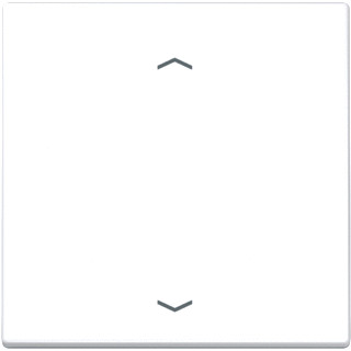 Jung LS range enocean wandzender LS990 + symbolen 2-kanalen wit