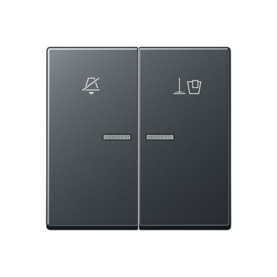 Jung Enkele wip aan-/uit-schakelaar antraciet