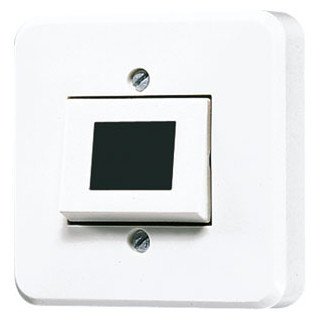 Jung Impulsdrukker 10 A 250 V ~ (zonder symbool)