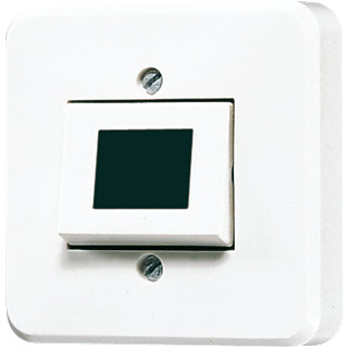 Jung Impulsdrukker 10 A 250 V ~ (zonder symbool)