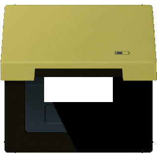 Jung LS range afdekraam 1V horizontaal en verticaal messing ip44