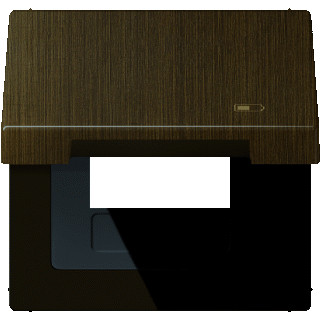 Jung LS range afdekraam 1V horizontaal en verticaal messing ip44