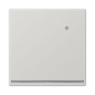 Jung LS range led-oriëntatieverlichting LS990 lichtgrijs & lichtsensor