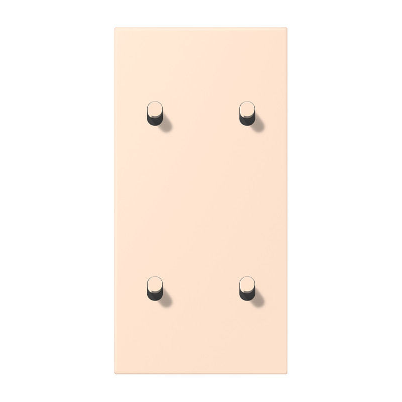 Jung LS 1912 range Afdek.LS1912 2+2 ver hevel cylin LC32028