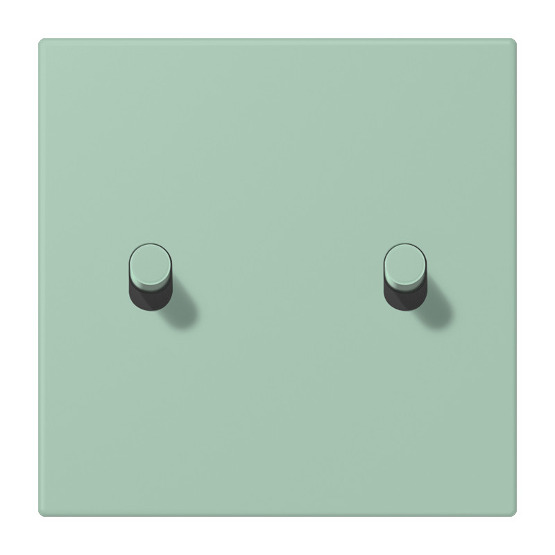 Jung LS 1912 range Afdek. LS1912 2X hevel cylinder LC32017