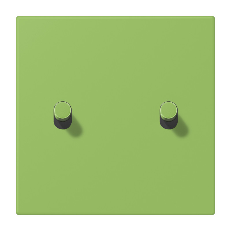 Jung LS 1912 range Afdek. LS1912 2X hevel cylinder LC32020