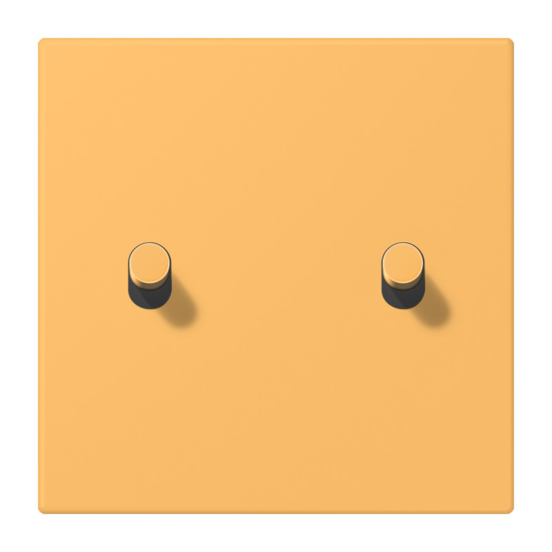 Jung LS 1912 range Afdek. LS1912 2X hevel cylinder LC32054