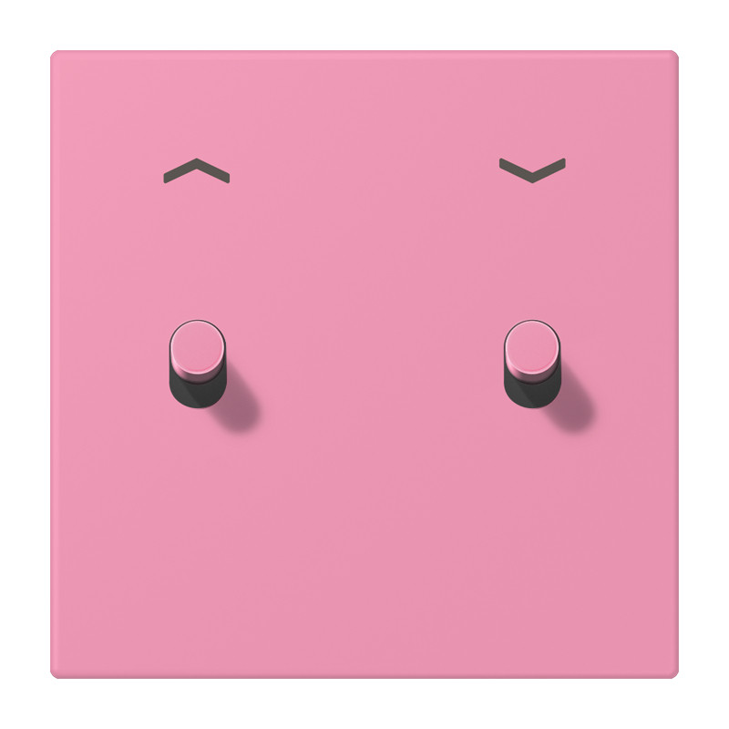 Jung LS 1912 range Afdek.LS1912 2X hor pijlen CYL.LC32046