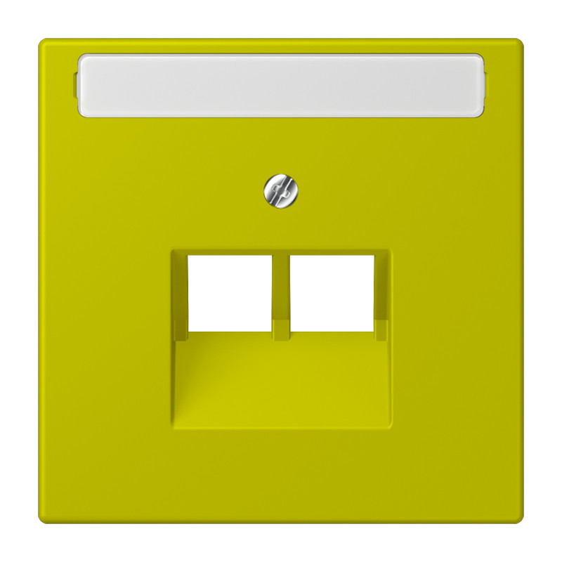 Jung LS range Afdekking 2-V. tekstv. TBV uae 4320F