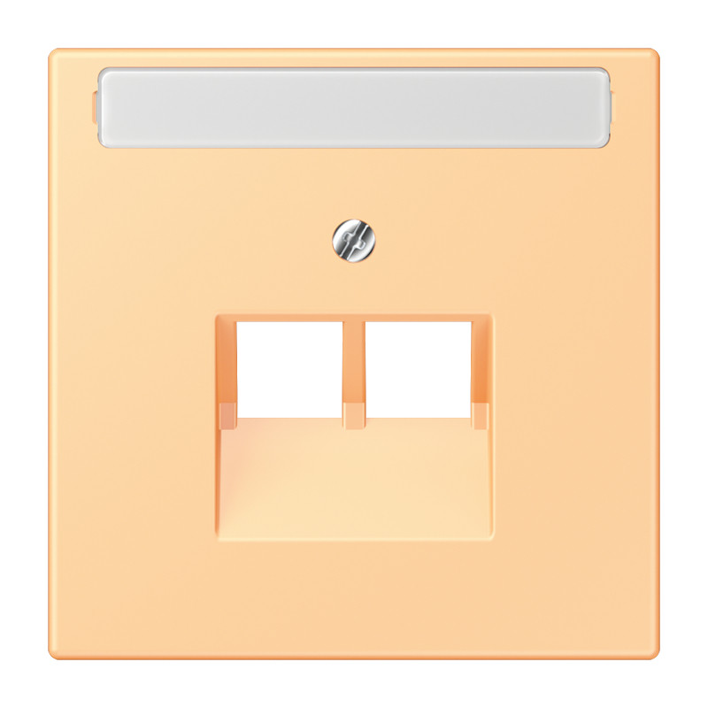 Jung LS range Afdekking 2-V. tekstv. TBV uae 4320P