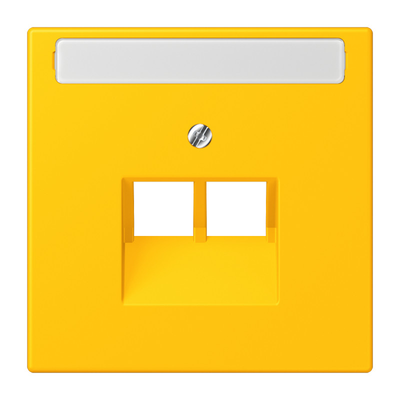 Jung LS range Afdekking 2-V. tekstv. TBV uae 4320W