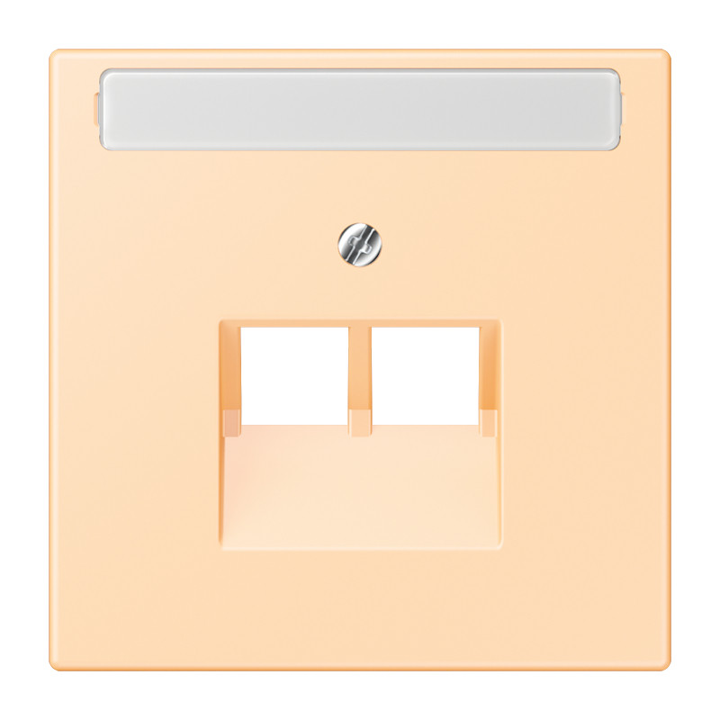 Jung LS range Afdekking 2-V. tekstv. TBV uae LC32060