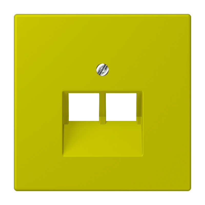 Jung LS range Afdekking 2-voudig TBV uae 4320F