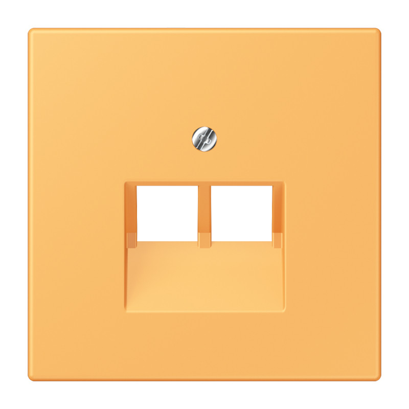 Jung LS range Afdekking 2-voudig TBV uae 4320L