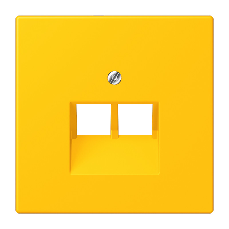 Jung LS range Afdekking 2-voudig TBV uae 4320W