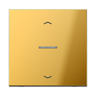 Jung LS range Afdekking LS-goud KL. stand.V.O.A.232me
