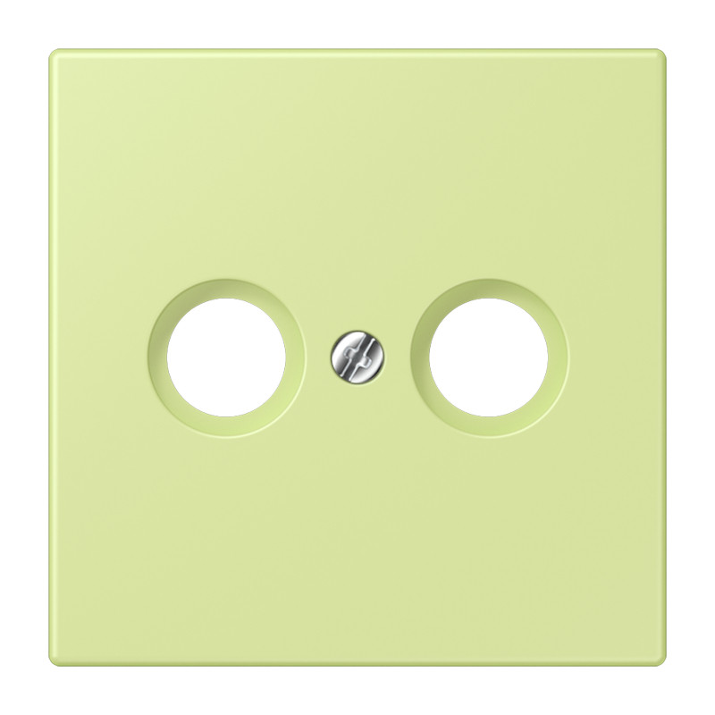 Jung LS range Afdekking Cai 2-gats LC32053