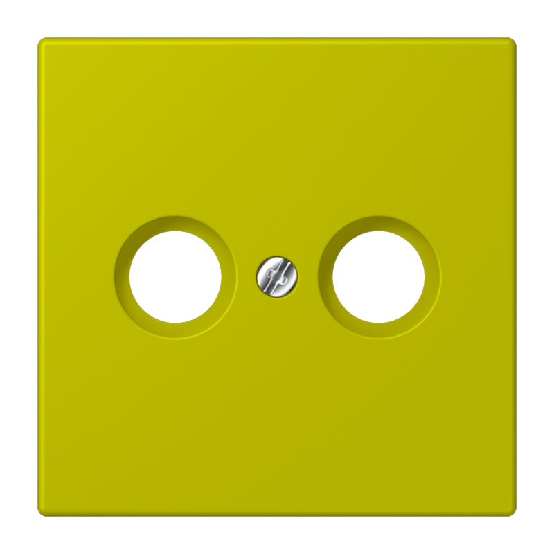 Jung LS range Afdekking Cai 2-gats LC4320F