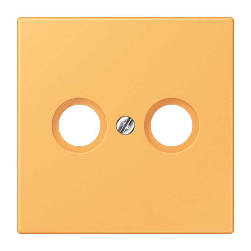 Jung LS range Afdekking Cai 2-gats LC4320L