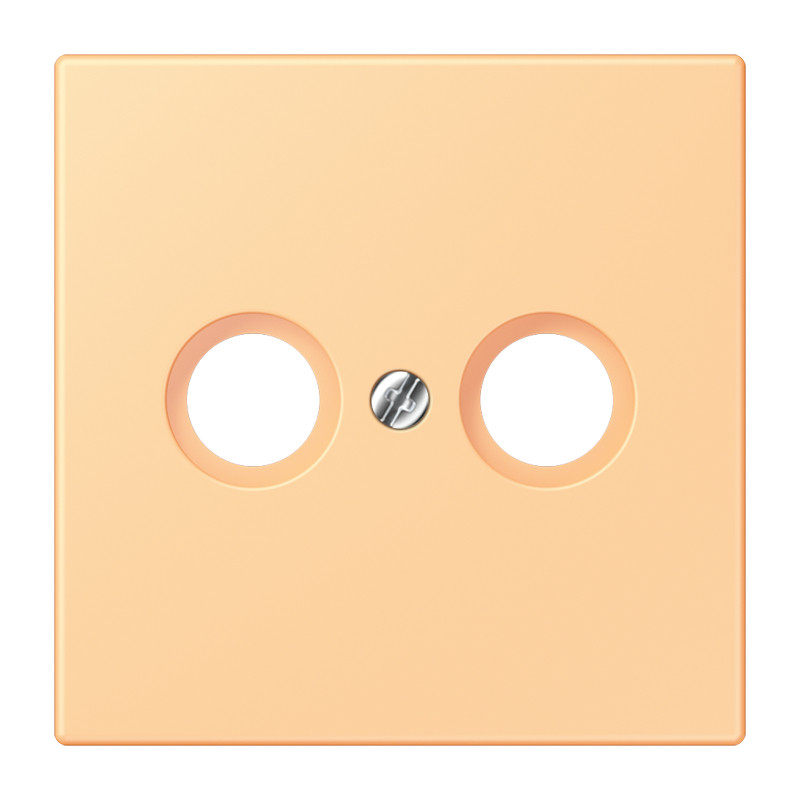 Jung LS range Afdekking Cai 2-gats LC4320P