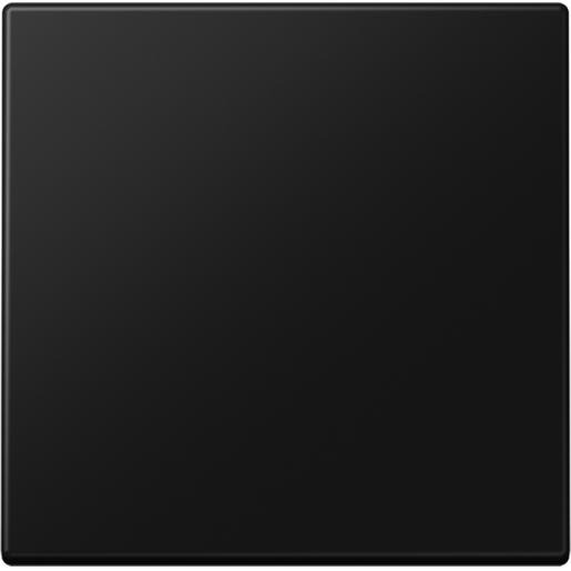 Jung Enocean radiografische wandzender 2-kanaals LS range grafietzwart ma