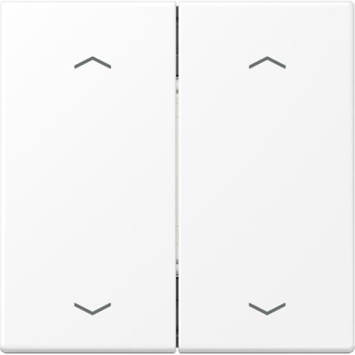 Jung Enocean radiografische wandzender 4-kanaals met pijlsymbolen LS rang