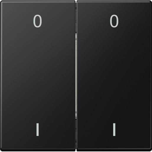 Jung Enocean radiografische wandzender 4-kanaals symbolen 0 I LS range G