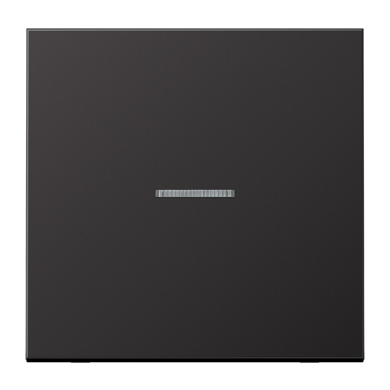 Jung LS range Home Stuurafd. LS 1V. alu dark
