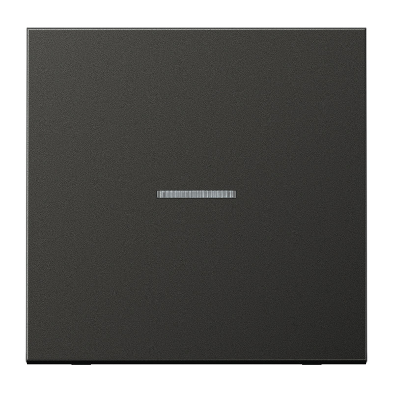 Jung LS range Home Stuurafd. LS 1V. antraciet