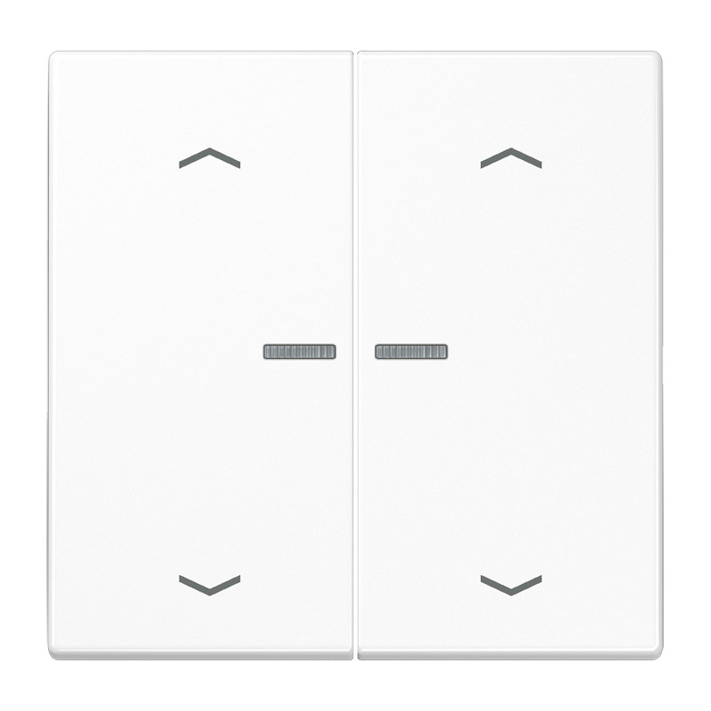 Jung LS range Home Stuurafd. LS 2V. alpinwit pijl