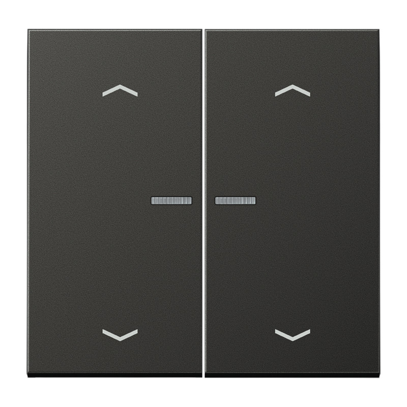 Jung LS range Home Stuurafd. LS 2V. antraciet pijl