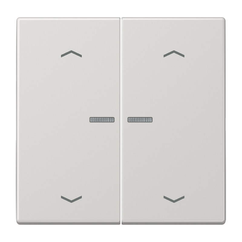 Jung LS range Home Stuurafd. LS 2V. lichtgrijs pijl