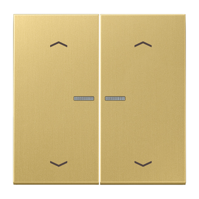 Jung LS range Home Stuurafd. LS 2V. mess. klass. pijl