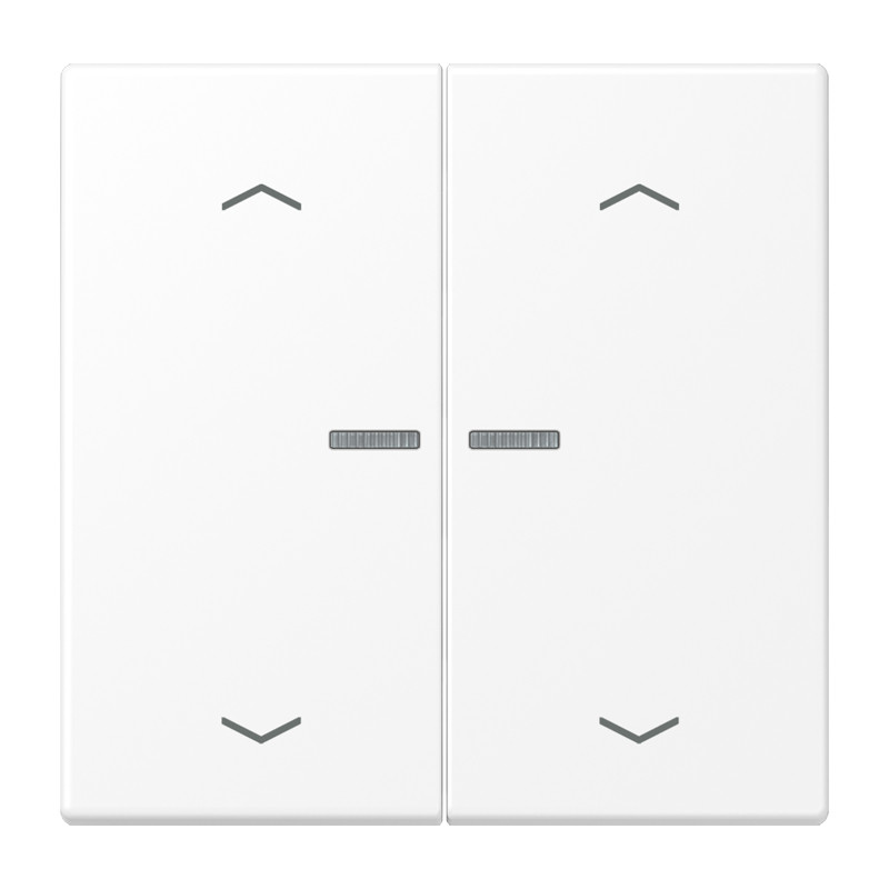Jung LS range Home Stuurafd. LS 2V. sneeuwwit mat pijl