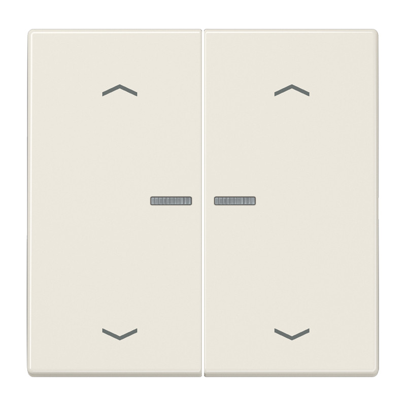 Jung LS range Home Stuurafd. LS 2V. wit pijl