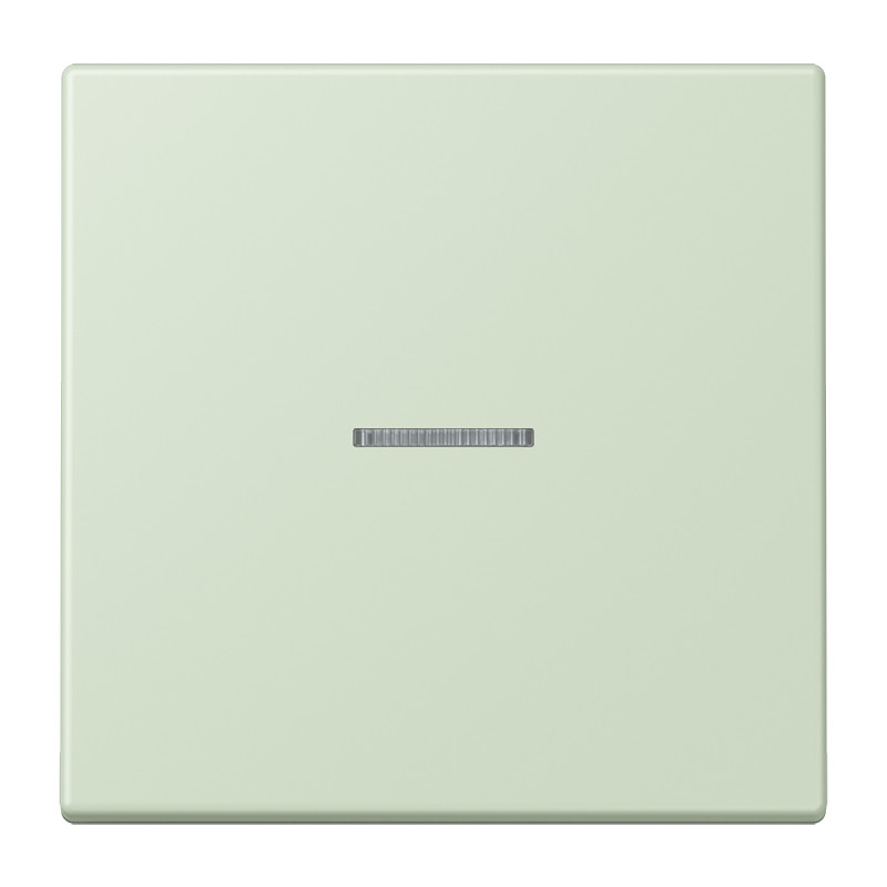 Jung LS range Home Stuurafdekking 1-V. LC32042
