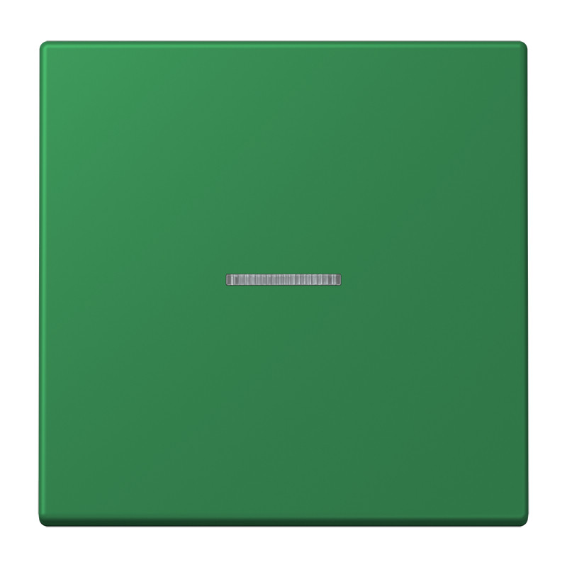 Jung LS range Home Stuurafdekking 1-V. LC32050