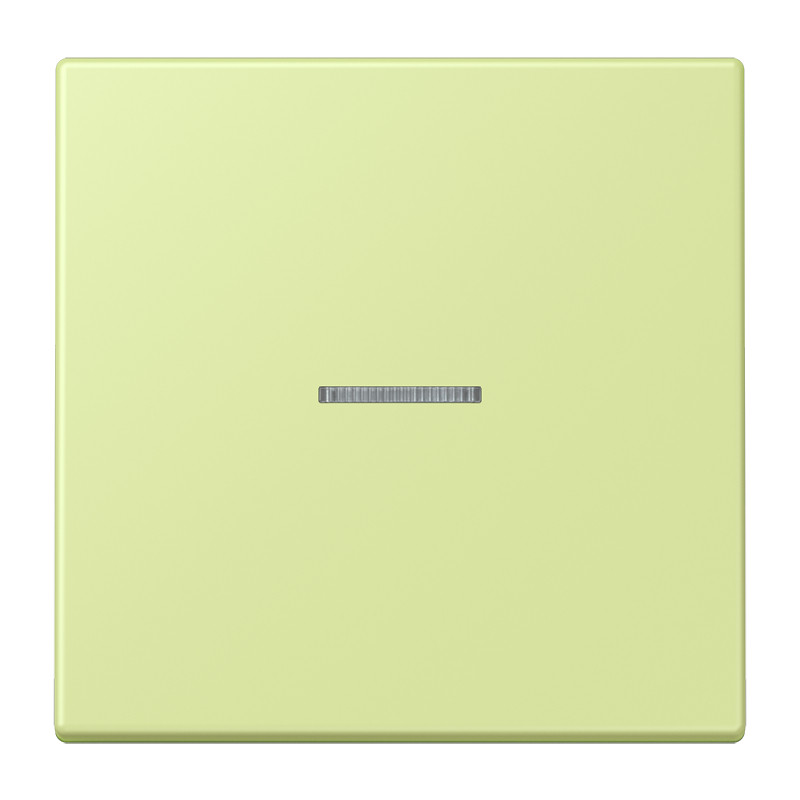 Jung LS range Home Stuurafdekking 1-V. LC32053