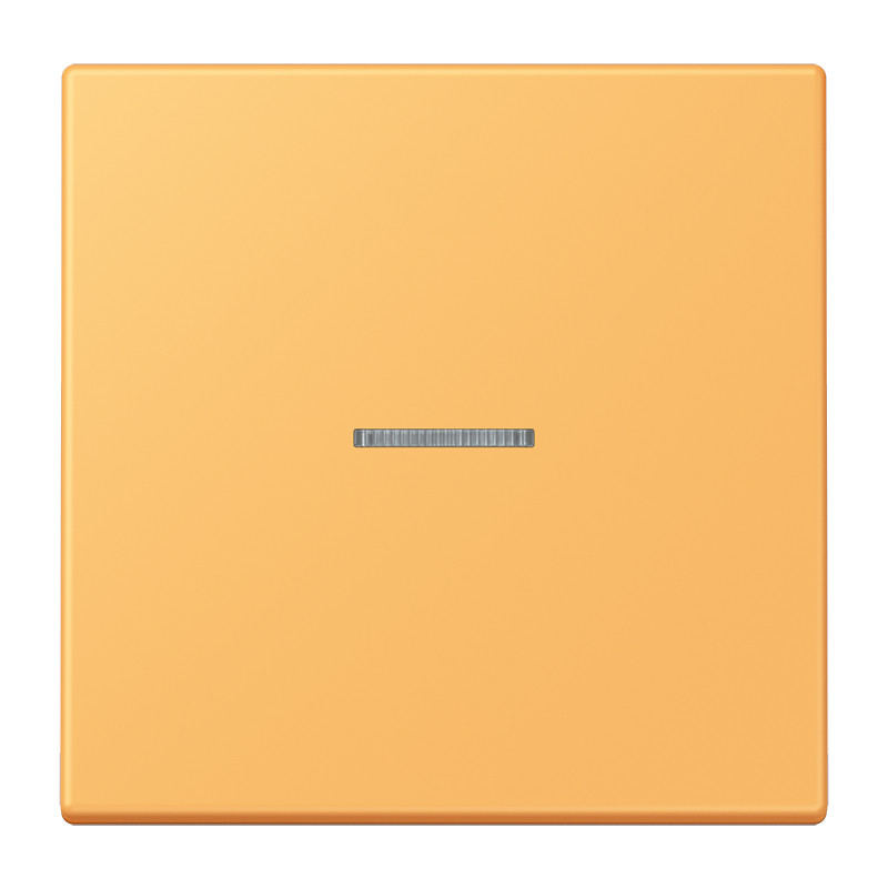 Jung LS range Home Stuurafdekking 1-V. LC4320L