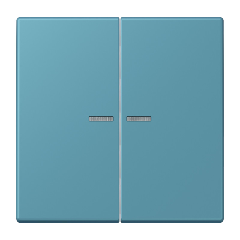 Jung LS range Home Stuurafdekking 2-V LC32031