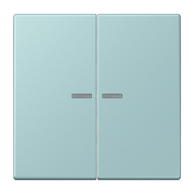 Jung LS range Home Stuurafdekking 2-V LC32033