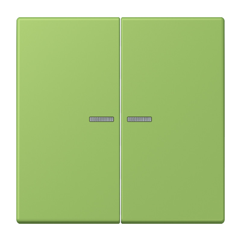 Jung LS range Home Stuurafdekking 2-V LC32051