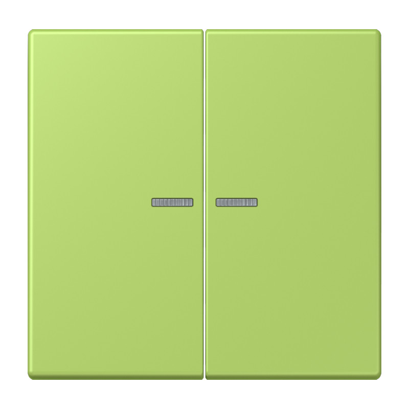 Jung LS range Home Stuurafdekking 2-V LC32052