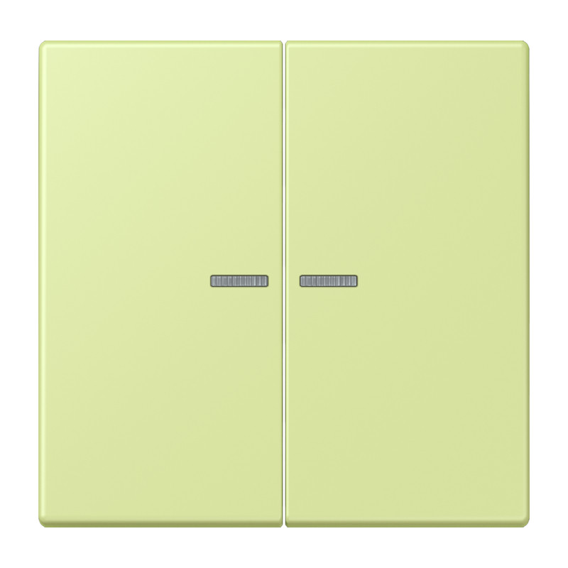 Jung LS range Home Stuurafdekking 2-V LC32053