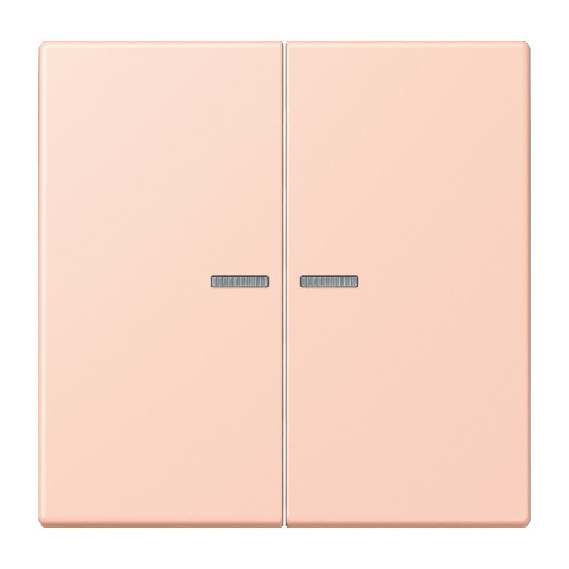 Jung LS range Home Stuurafdekking 2-V LC32112